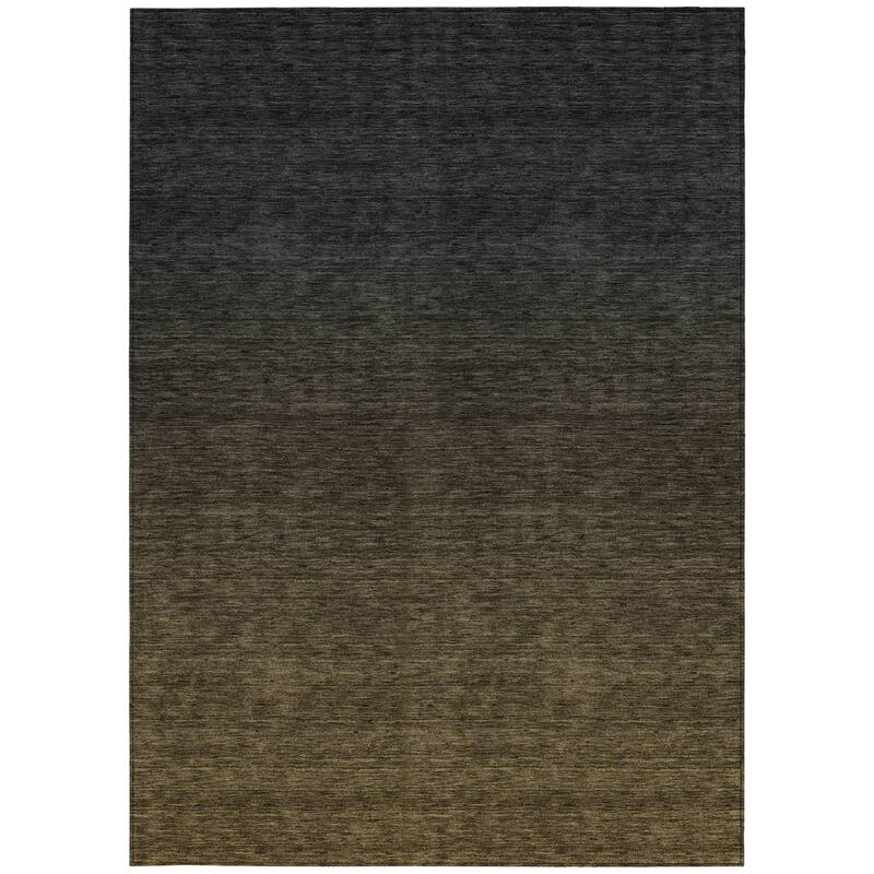 HomeRoots Abstract Transitional Rectangle Outdoor Rug