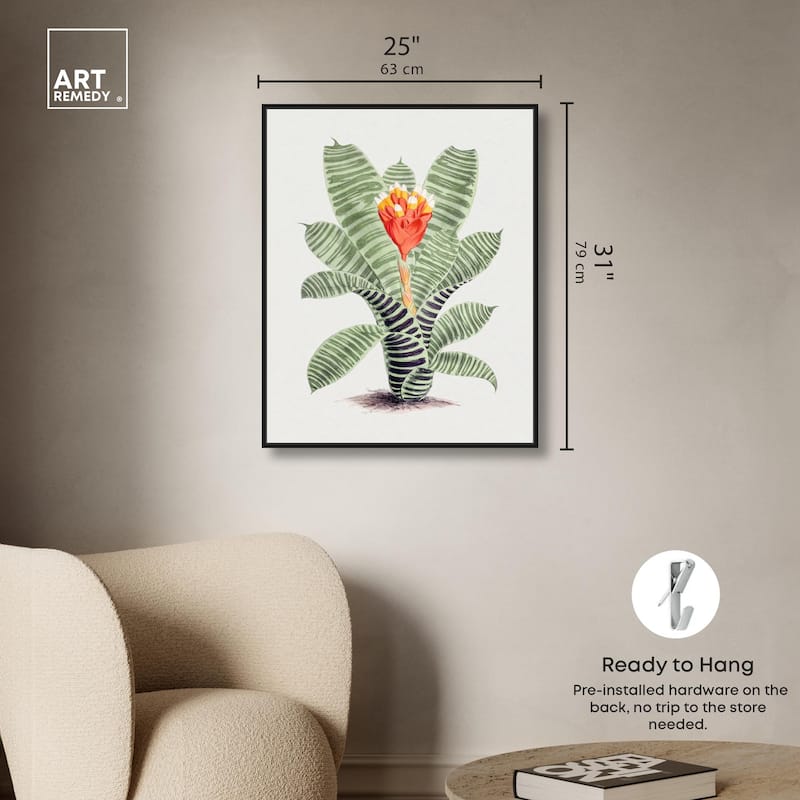 Tillandsia Musaica Plant Canvas by Art Remedy