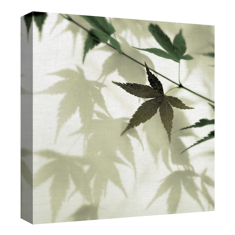 Japanese Maple #1 by Alan Blaustein Canvas Art Print