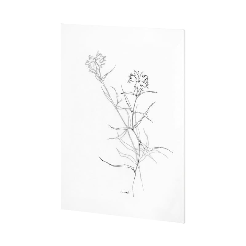Arrangement II (44 x 60) Canvas Art Print