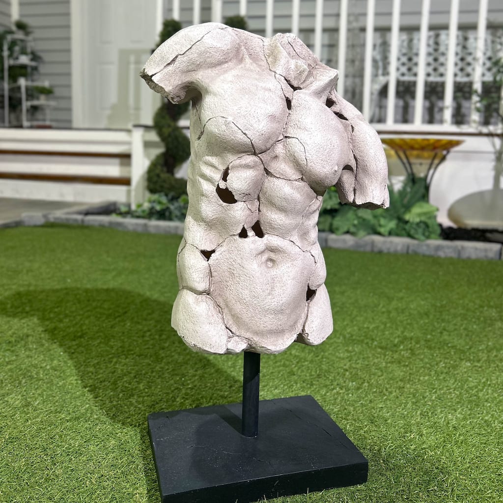 Hi-Line Male Torso Sculpture on Stand