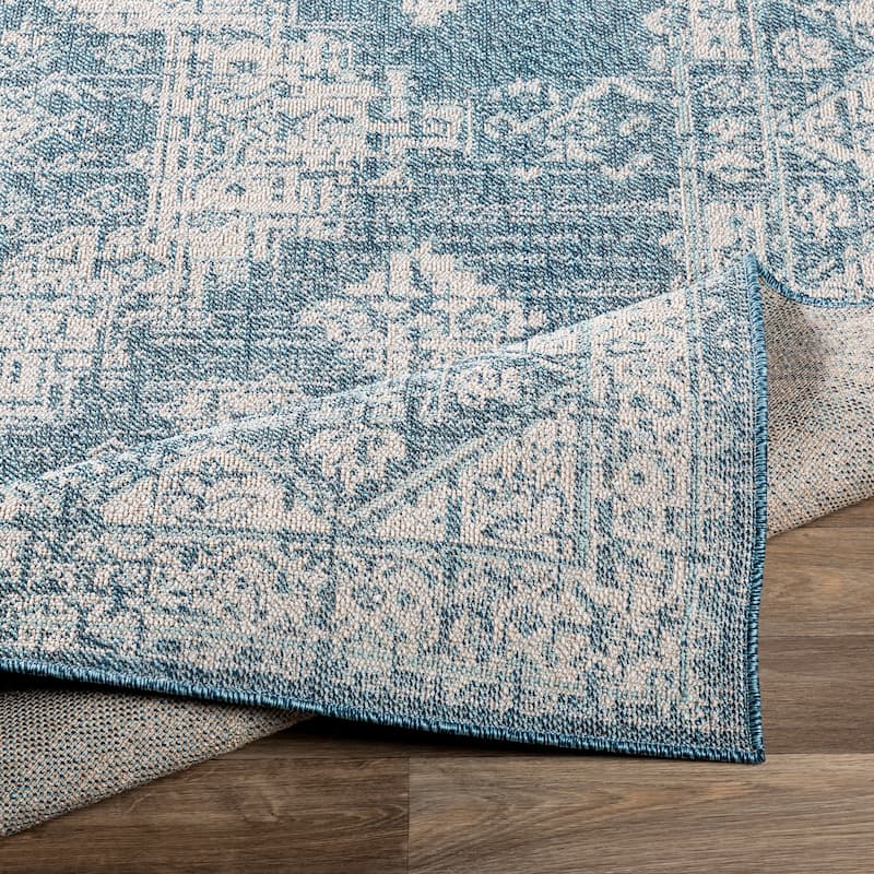 Susannah Indoor / Outdoor Updated Traditional Area Rug