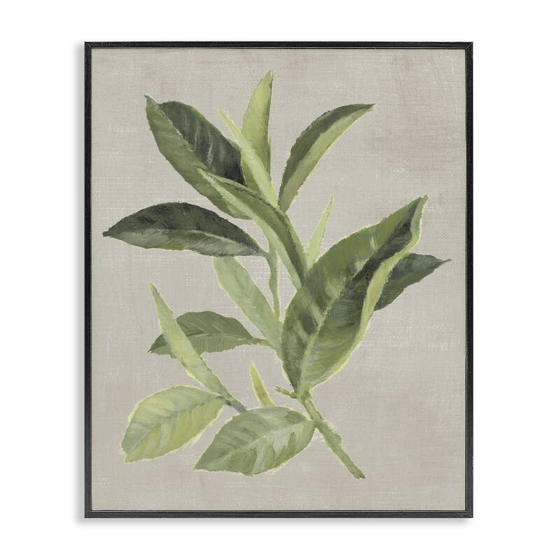 Stupell Green Tea Plant Leaf Framed Giclee Art Design By Lanie Loreth - 11 x 14 - Black