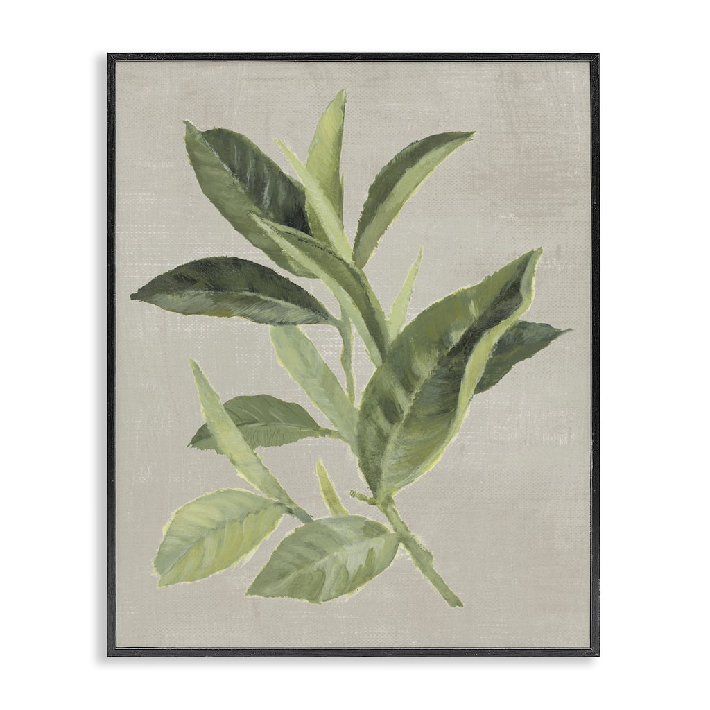 Stupell Green Tea Plant Leaf Framed Giclee Art Design By Lanie Loreth