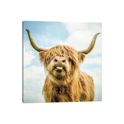 iCanvas "Highland Cow" by Mark Gemmell Canvas Print