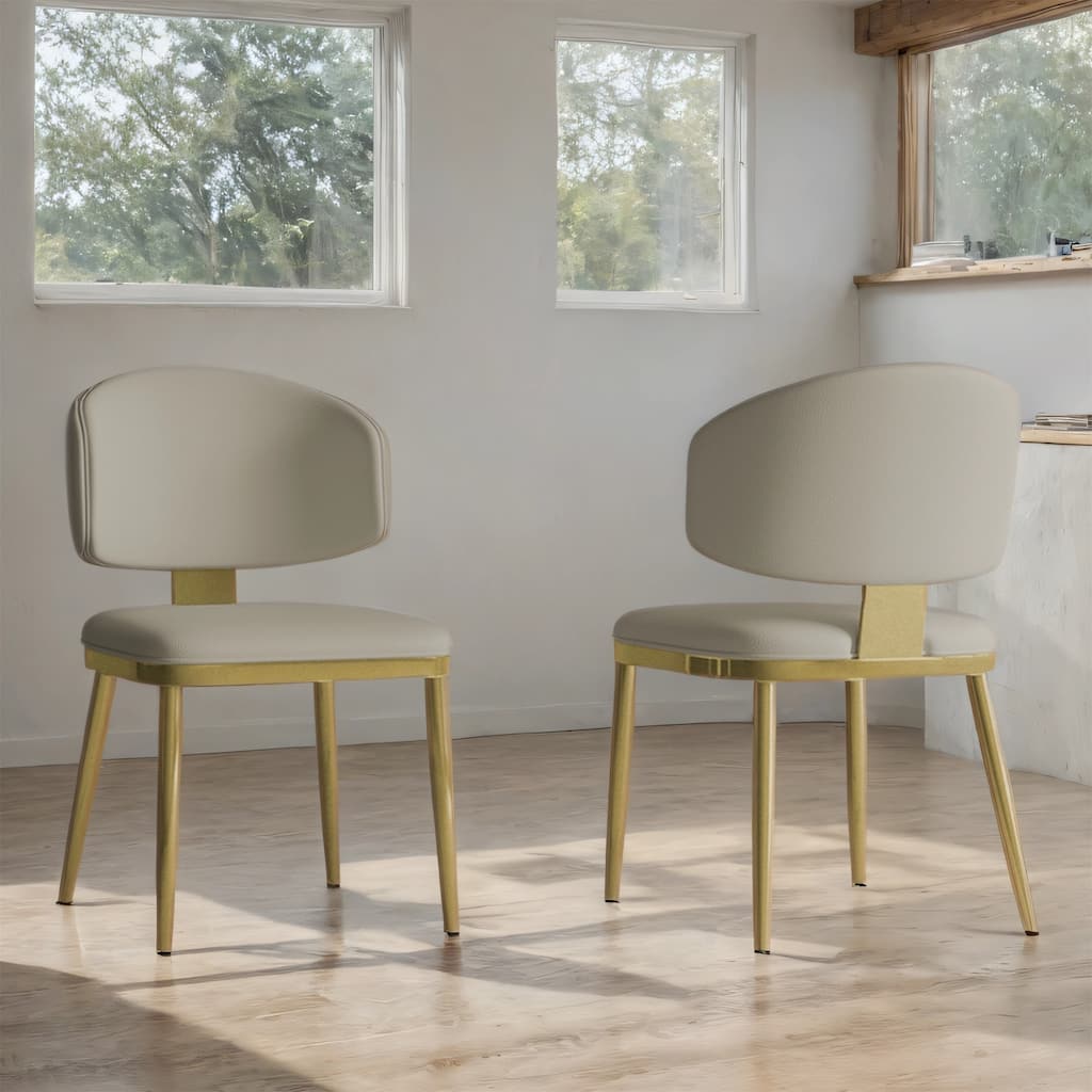 Ergonomic Dining Chairs with Cushioned Seat, Carbon Steel, Set of 2