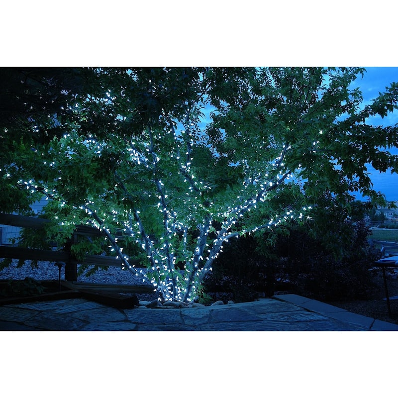 70 Light C6 True Twinkle LED Christmas Mini Light Set, Pure White, Green Wire, 24 Feet