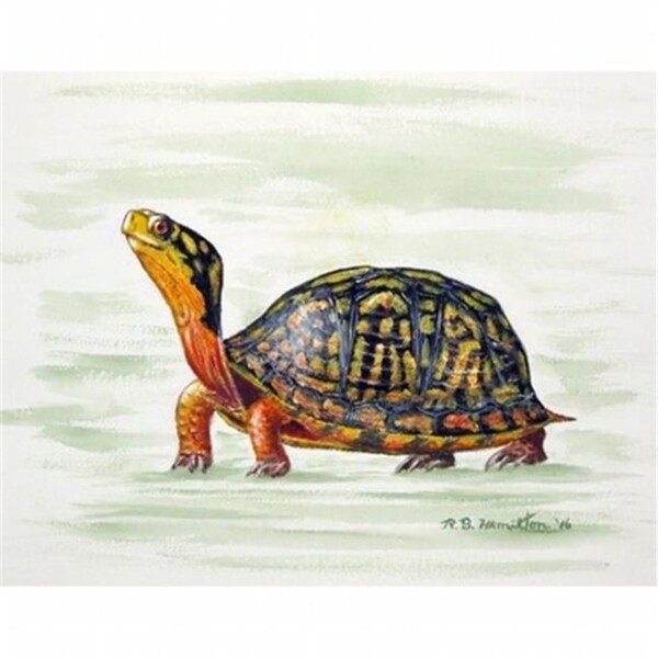 Betsy Drake DM491 Happy Turtle Door Mat Small