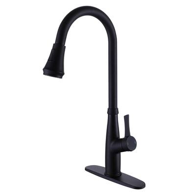 Pull Out Single Handle Kitchen Faucet