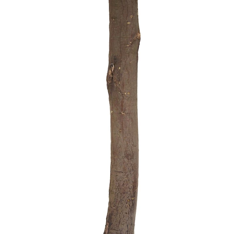 Christopher Knight Home - Verona 49" Artificial Topiary Bay Tree Set with Pots, 2-Piece Indoor or Outdoor Décor - Wood