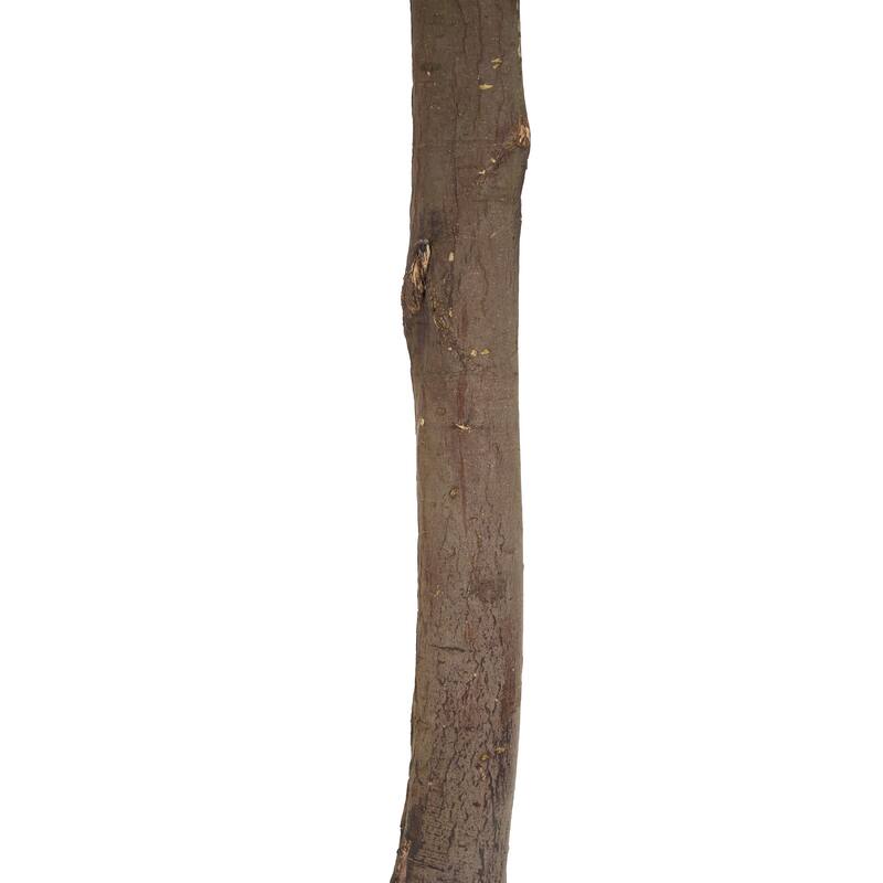 Roomfitters 49'' Artificial Topiary Bay Tree Ball Set of 2, Faux Indoor Decorative Plants with Black Plastic Pots for Home Décor