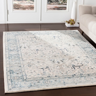 Annelie Teal & Grey Updated Traditional Area Rug - 3' x 5'