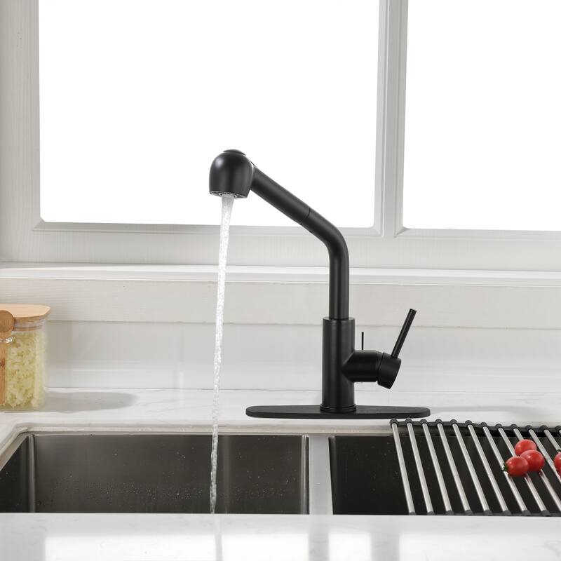 Topcraft Kitchen Faucets with Pull Down & Pull Out Sprayer