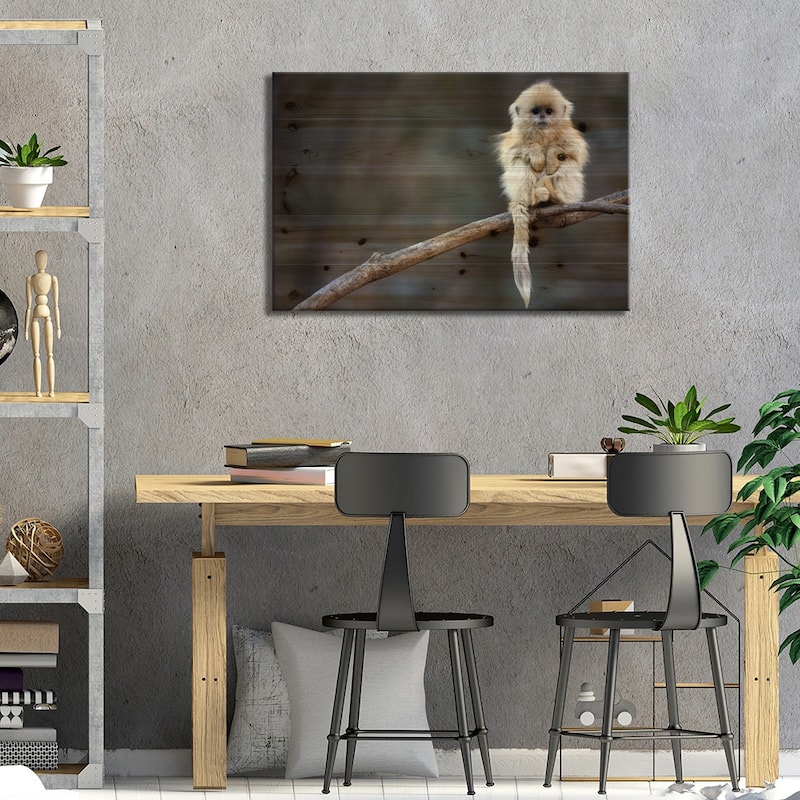 Golden Snub-Nosed Monkey Juvenile, Qinling Mountains, China Print On Wood by Cyril Ruoso - Multi-Color