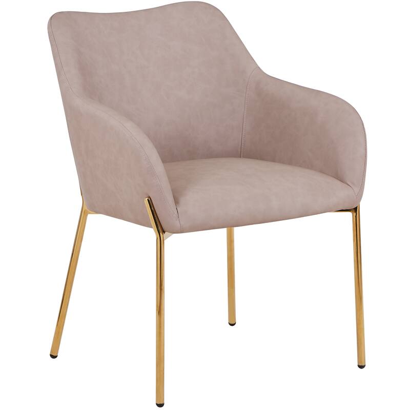 Zaire Upholstered Dining Chair in Velvet/Leather/Boucle with Gold Chrome Iron - Taupe