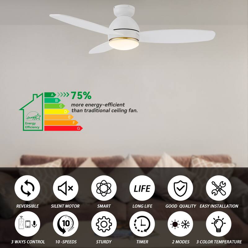 CARRO Quest 48" Smart Ceiling Fan with Light and Remote Control