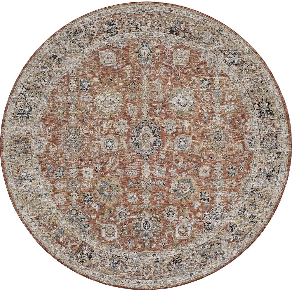 Domani Opulence Distressed Vintage Area Rug