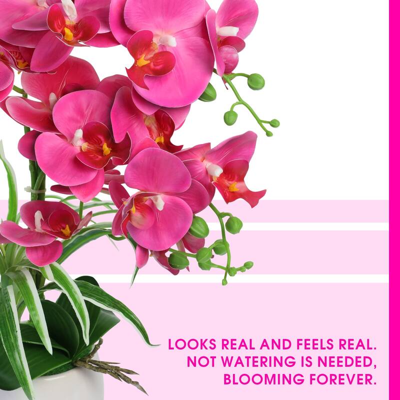 Artificial Orchid Plants and Flowers with Vase, Fake Faux Orchid in Ceramic Pot,19", Fuchsia