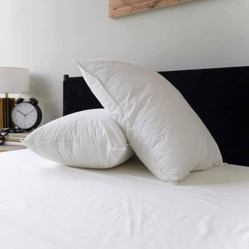 Sealy Moisture Wicking Cotton Pillow - White