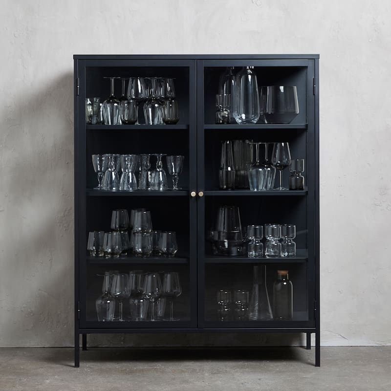 Rye Studio Cairyn Modern Glass and Metal Cabinet