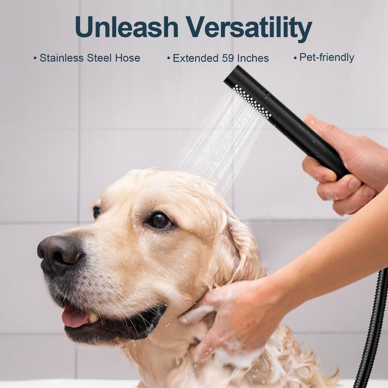 GRANDJOY 10" Wall-Mounted Shower Head System and Handheld Shower with Sliding Bar