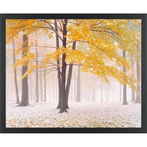 Easy Art Prints Jim Becia's 'Early Autumn Snow' Premium Canvas Art