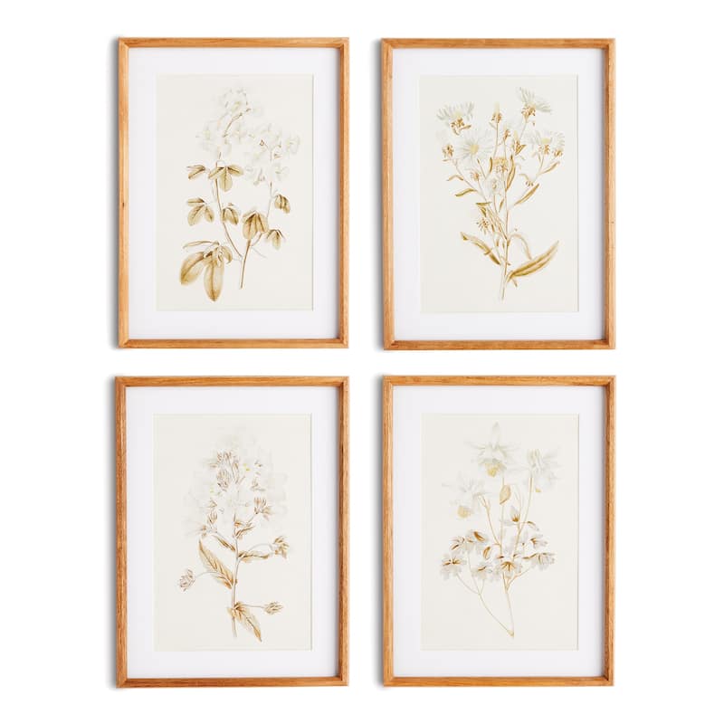 Fleur De Blanc Prints, Set Of 4