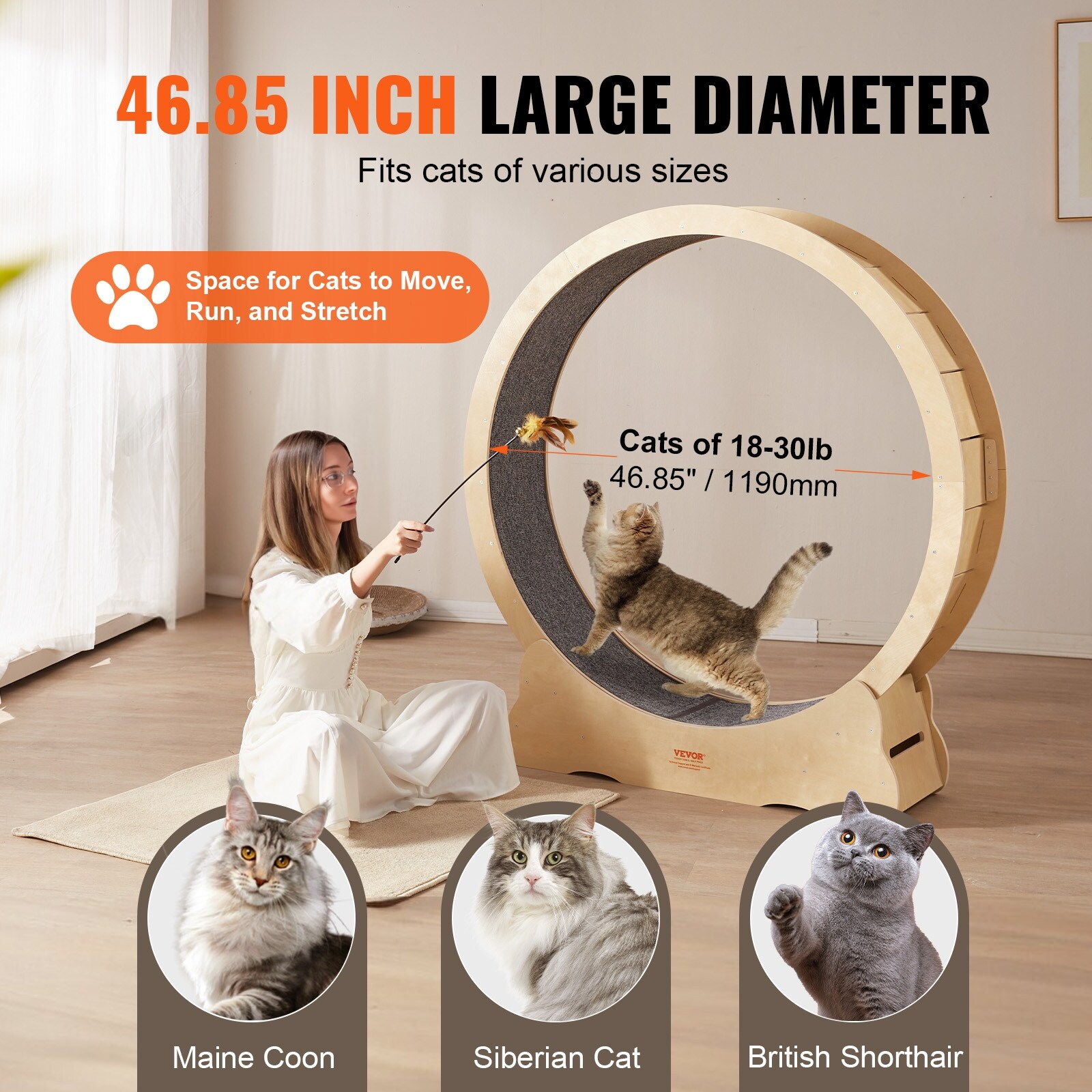 Indoor cat exercise wheel shop