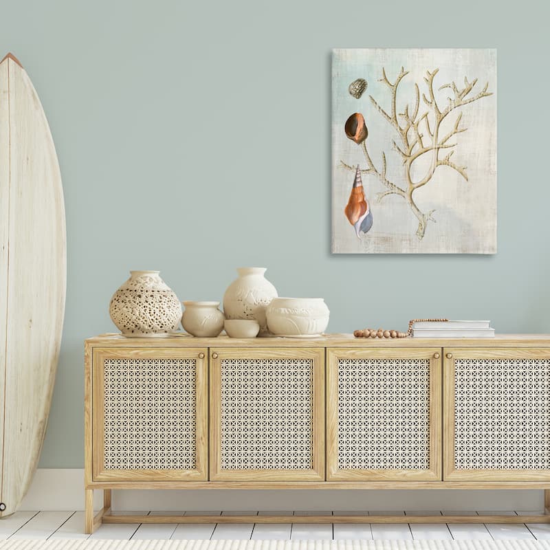 Stupell Seashells and Coral Branch Canvas Wall Art Design By Susan Arnot