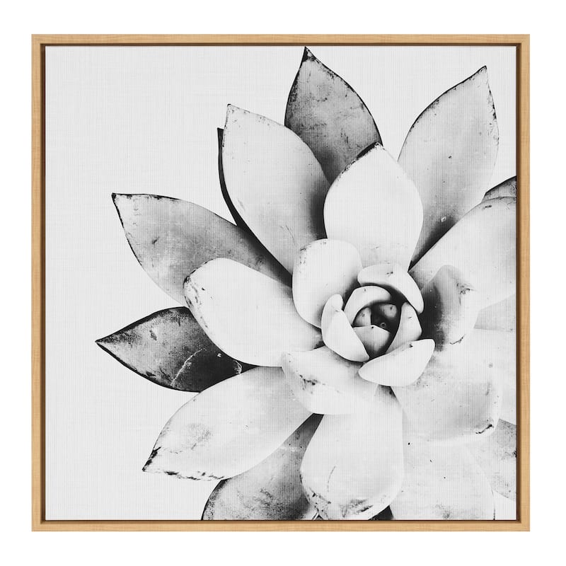 Kate and Laurel Sylvie Succulent Framed Canvas by Simon Te Tai
