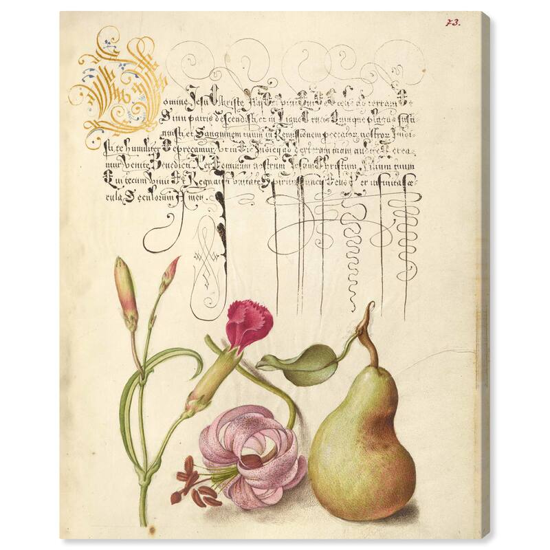 Wynwood Studio Canvas Floral and Botanical Hoegnafel - Carnation Martagon Lily and Pear Wall Art Canvas Print