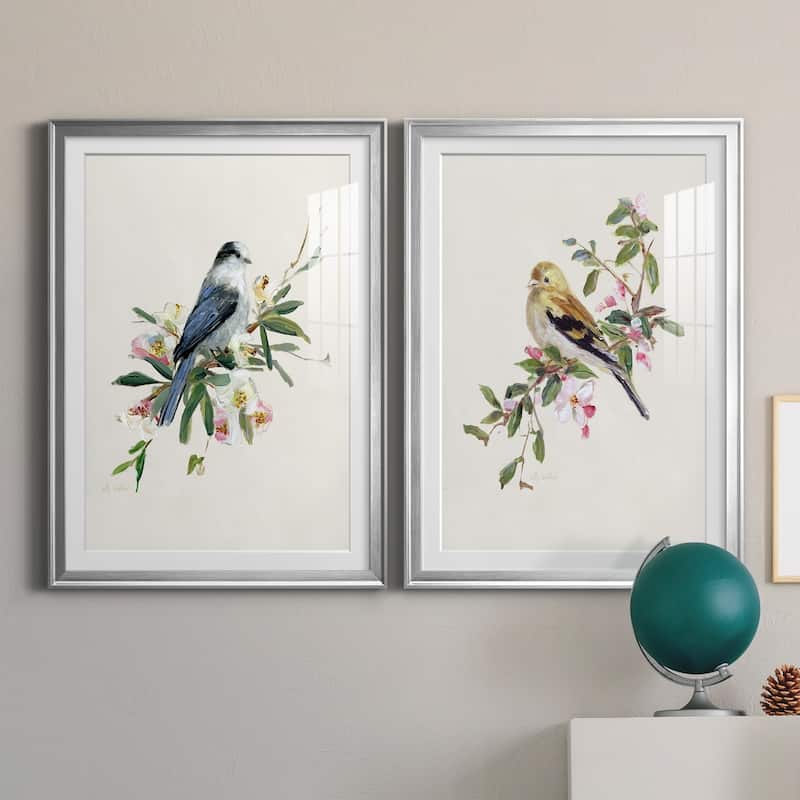 Spring Song Gray Jay Premium Framed Print - Ready to Hang