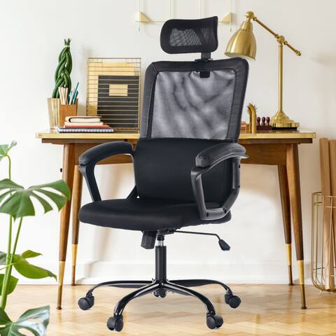 Ergonomic Mesh Executive Chair Home Office Chair with Lumbar Support, Headrest
