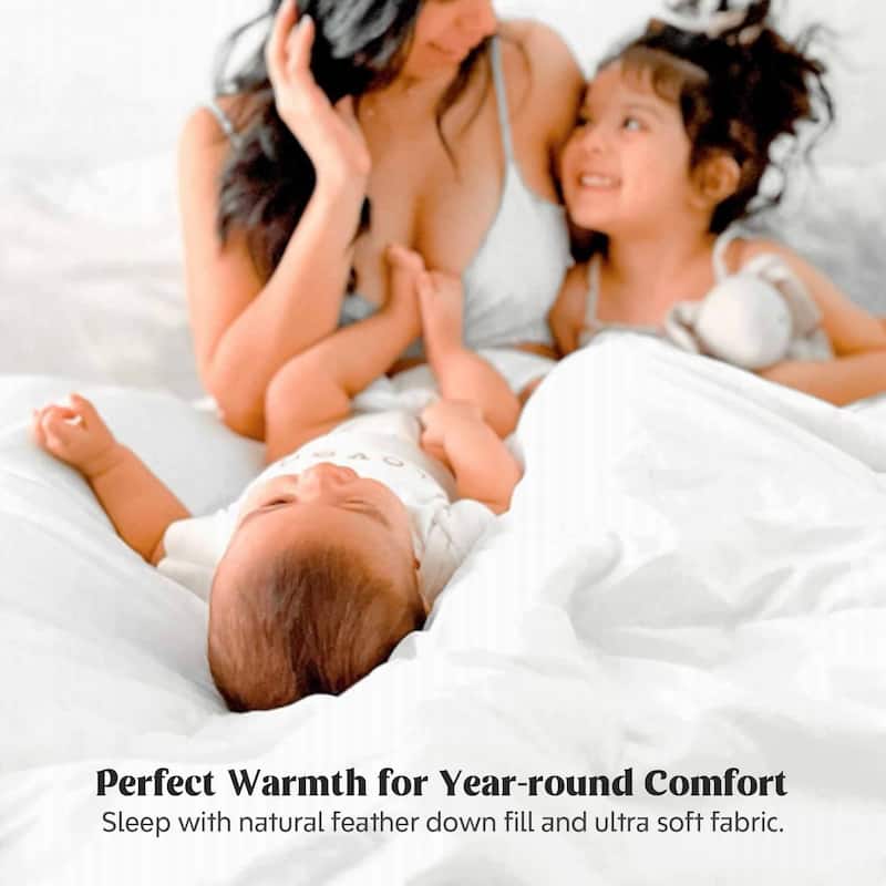 Year-round & Lightweight White Goose Down Duvet Insert Comforter