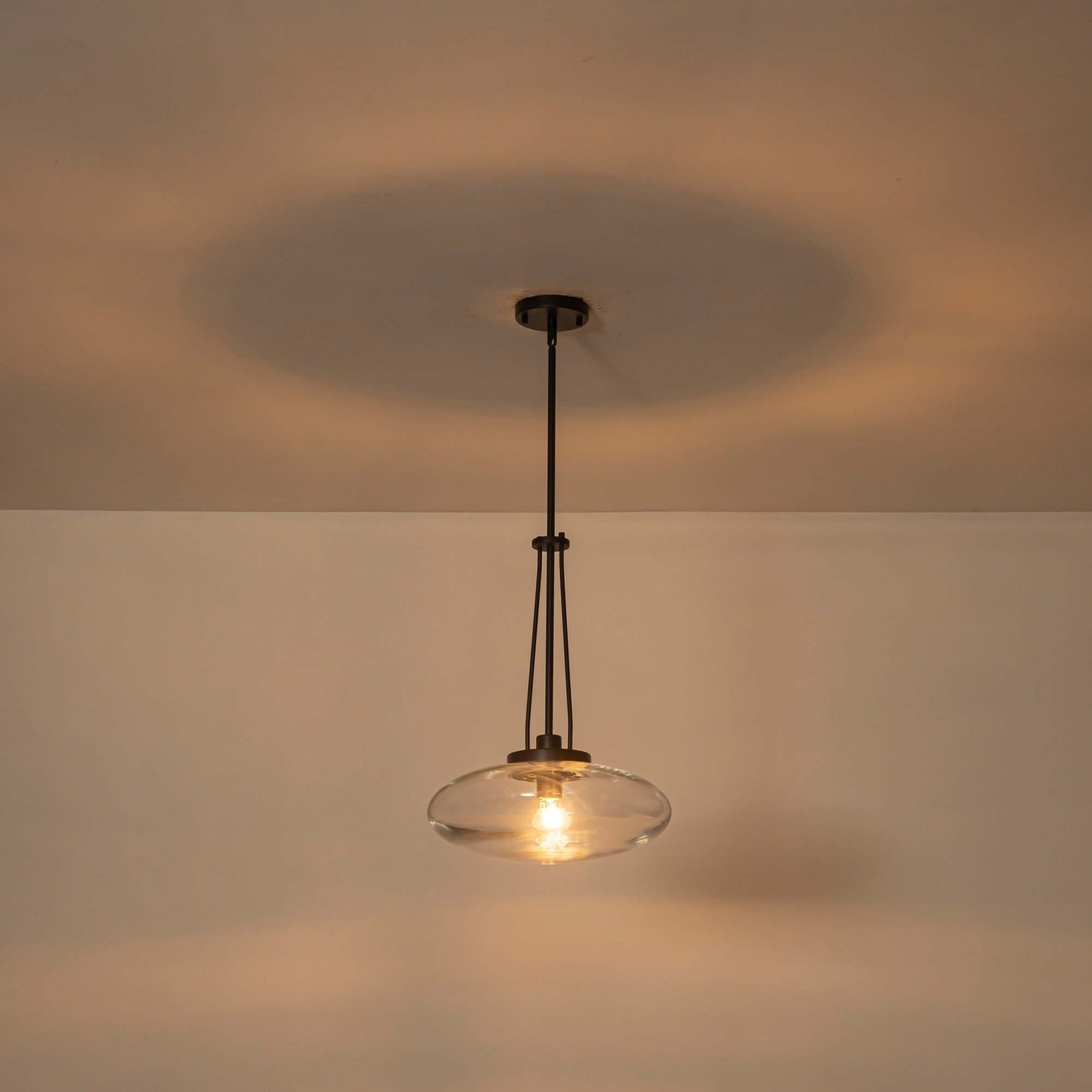 1-Light Matte Black/Brushed Brass Industrial Modern Glass Pendant Light with Swivel Head for Dining Bar & Bedroom