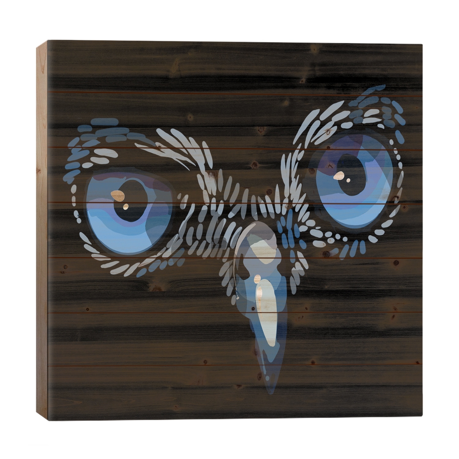 Wise Eyes Print On Wood by Thomas Little - Multi-Color