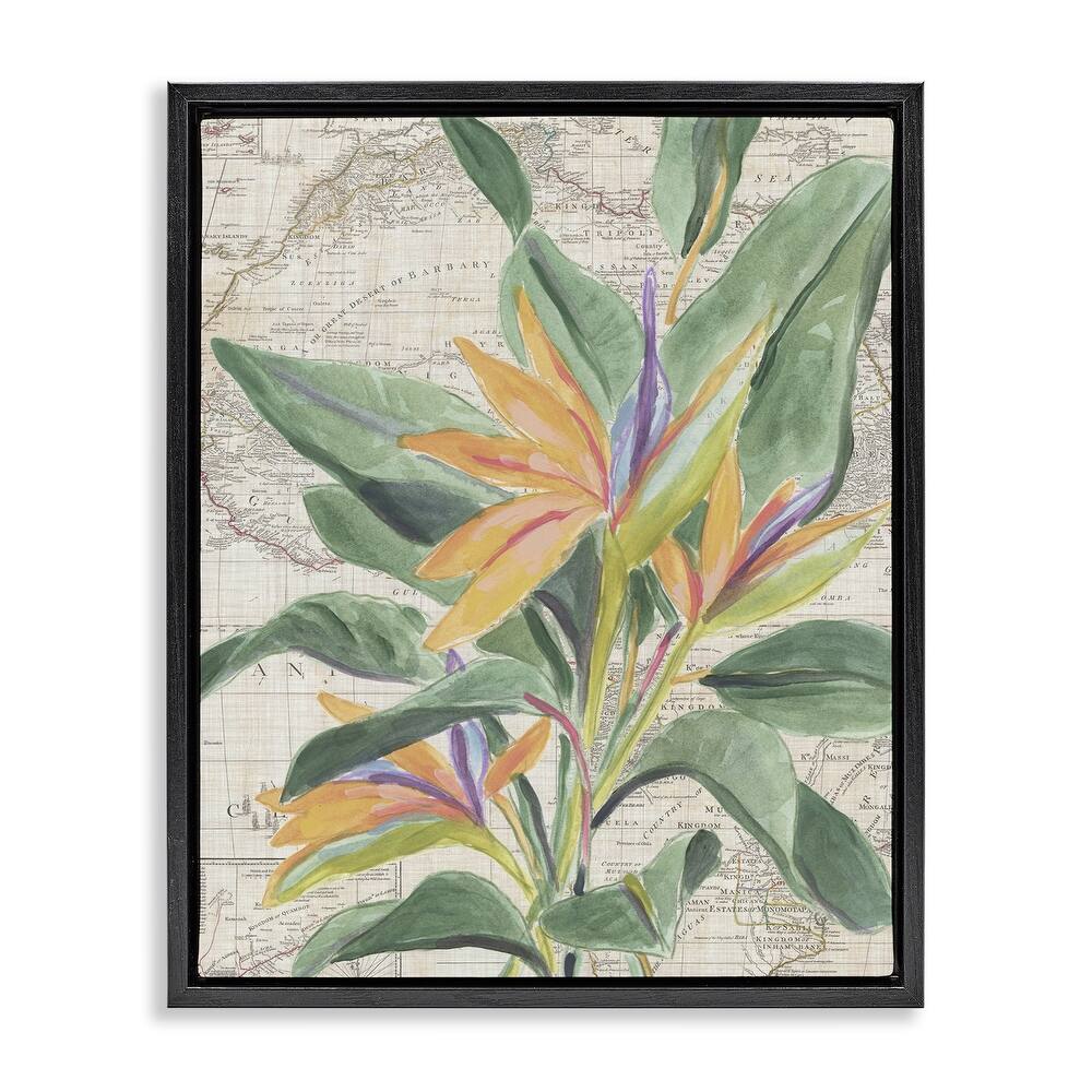 Stupell Tropical Flower over Map Framed Floater Canvas Wall Art Design By June Erica Vess