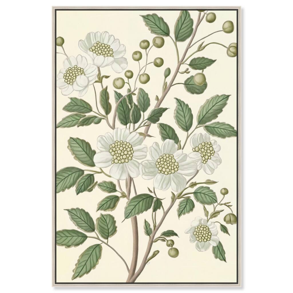White Cherokee IV Canvas by Art Remedy