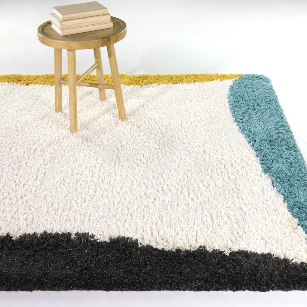 Westerhoff Border Shag Area Rug
