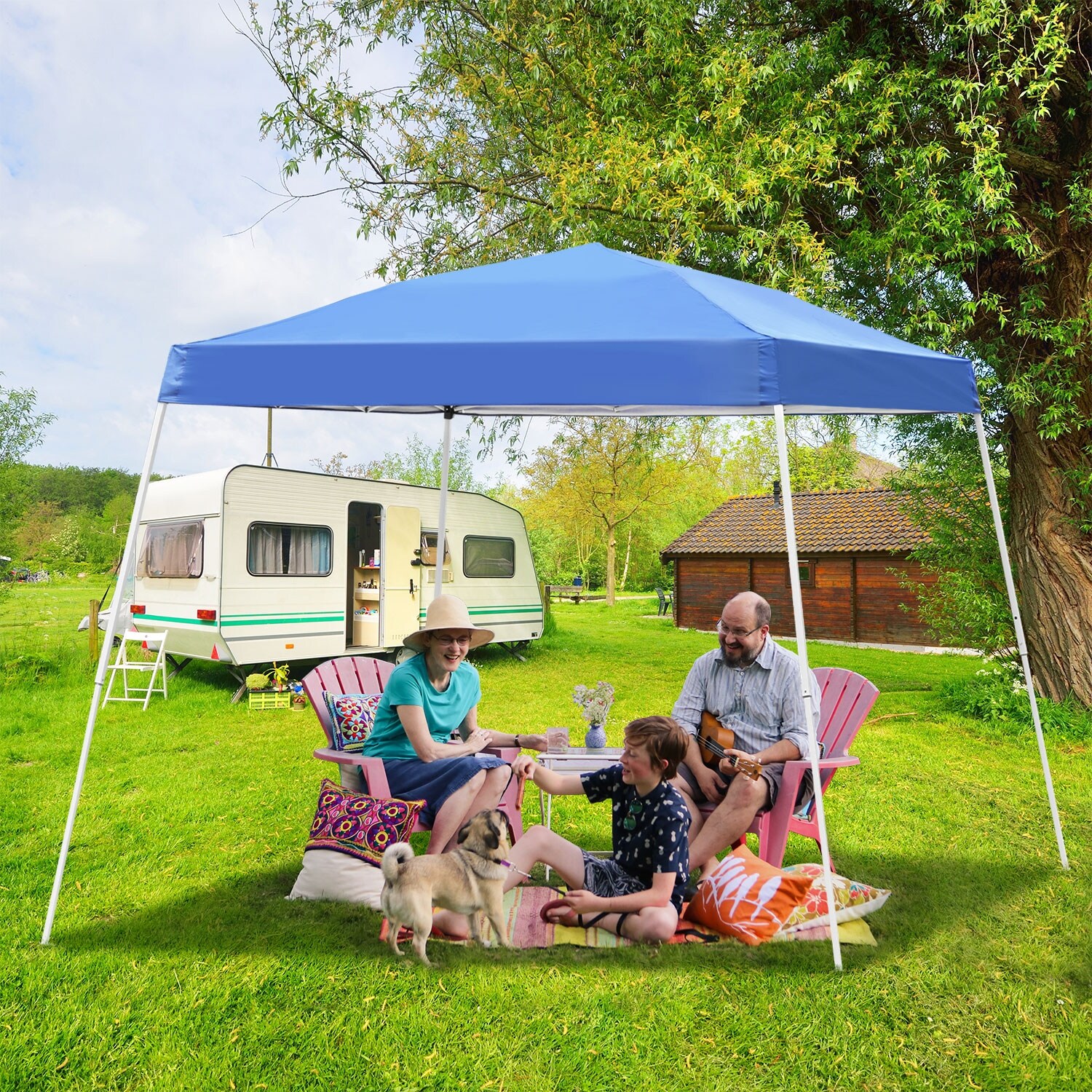Pop up picnic tent online