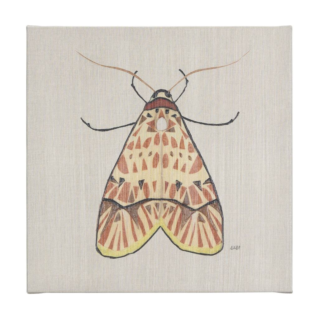 Moth I (30 x 30 ) Canvas Art Print