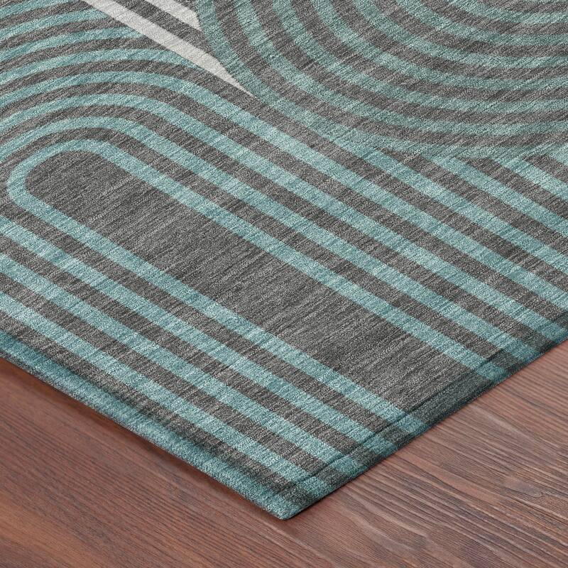 Machine Washable Indoor/ Outdoor Modern Basehor Chantille Rug