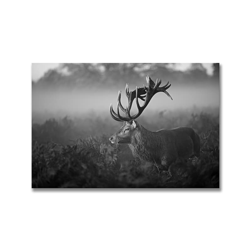 "Sunny Morning" Framed Print Wall Art by Robert Fabrowski