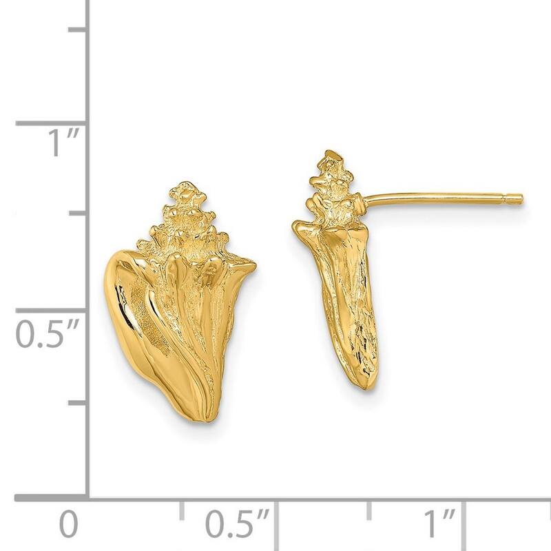 Curata 14k Yellow Gold 2 d Conch Shell Post Earrings 2 d - 15.45x10mm