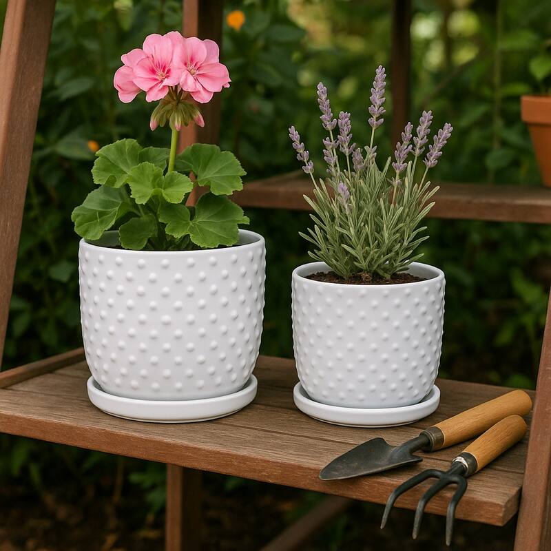 Ceramic Circular Saucer Planters Set of 2 - 6/8 in.