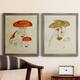 Mushroom Varieties IX Premium Framed Canvas - Ready to Hang - Multi ...