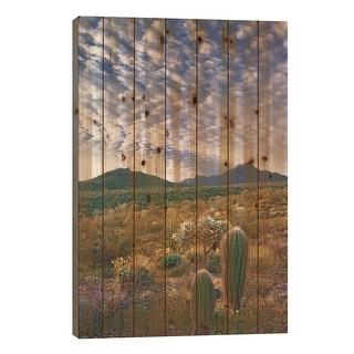 Saguaro And Teddybear Cholla, Arizona Amid Flowering Lupine And ...