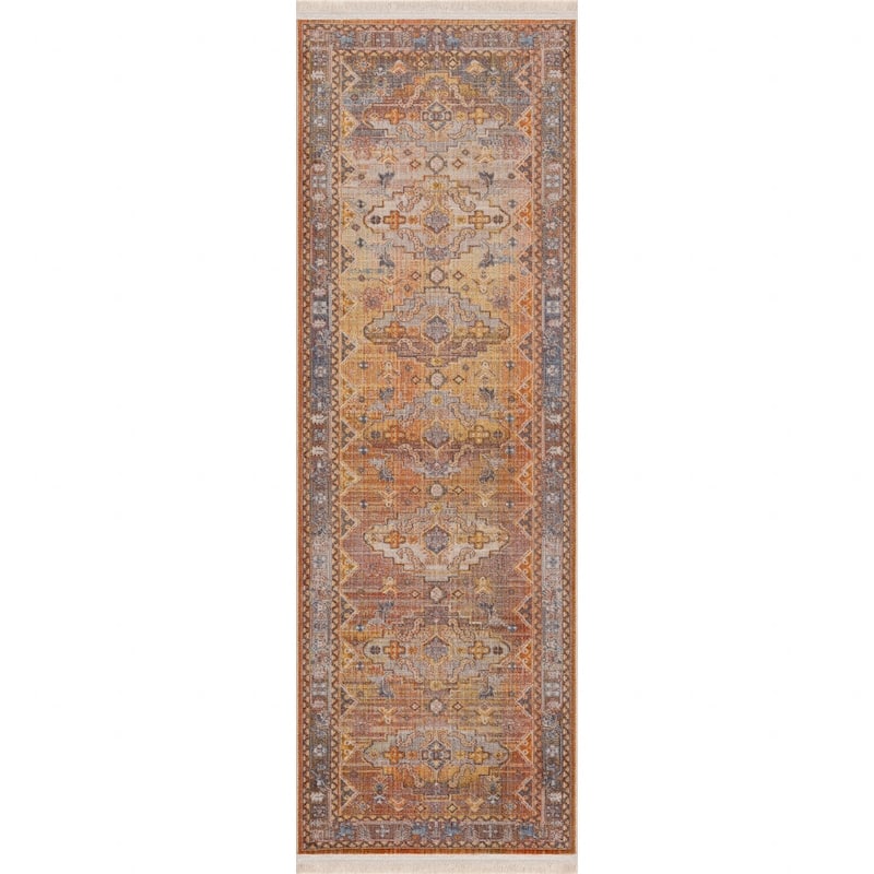 Teja Southwestern Area Rug By HomeRoots - 2' X 6'