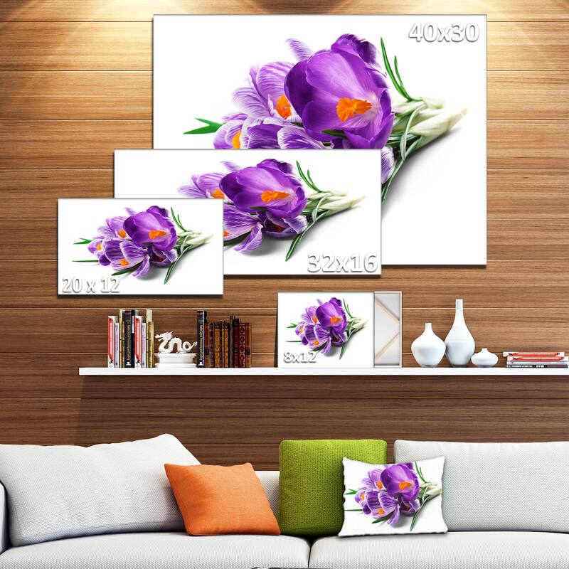 Bunch of Blooming Crocus Flowers - Large Floral Wall Art Canvas - Purple