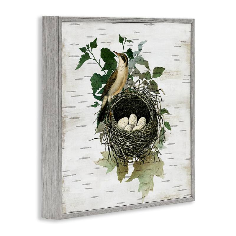 Stupell Vintage Bird Nest & Flora Framed Giclee Art Design By Susan Arnot